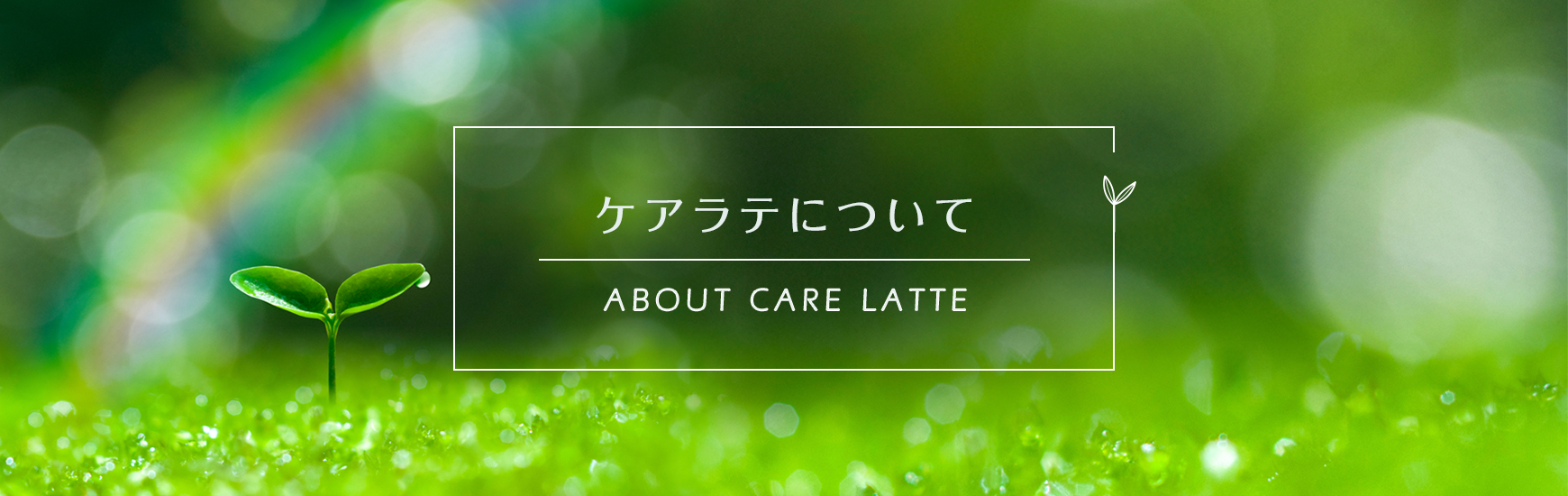 ケアラテについて
