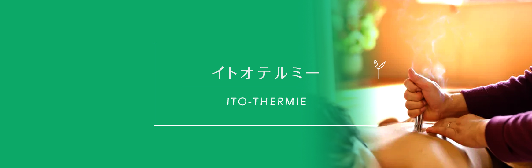 イトオテルミー