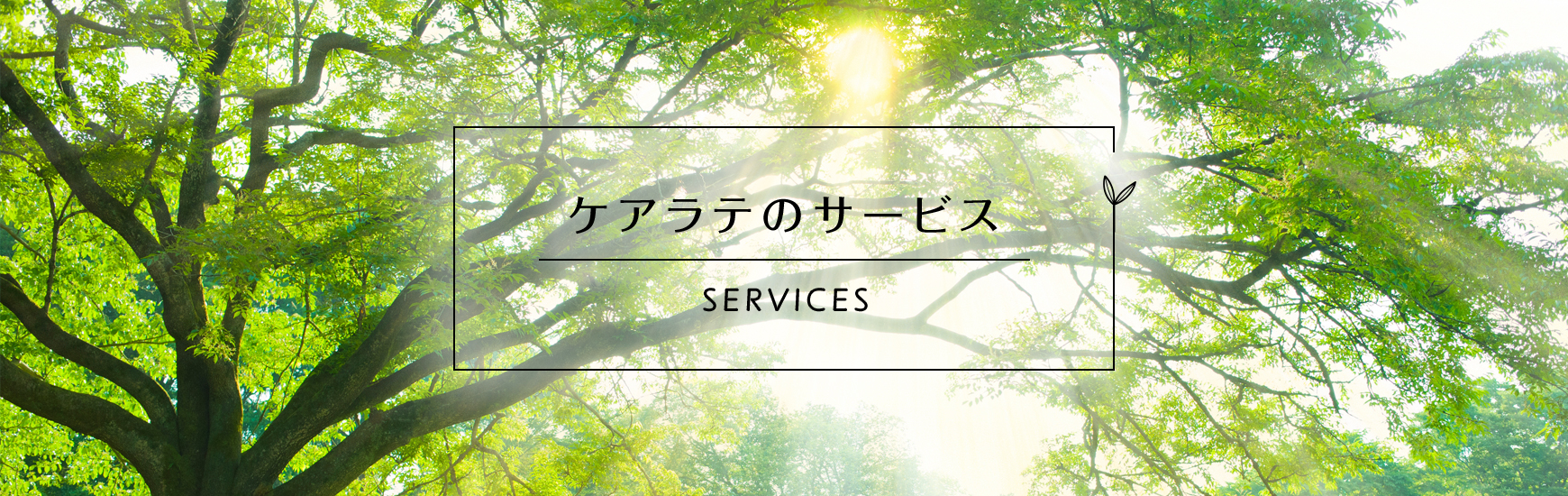 ケアラテのサービス